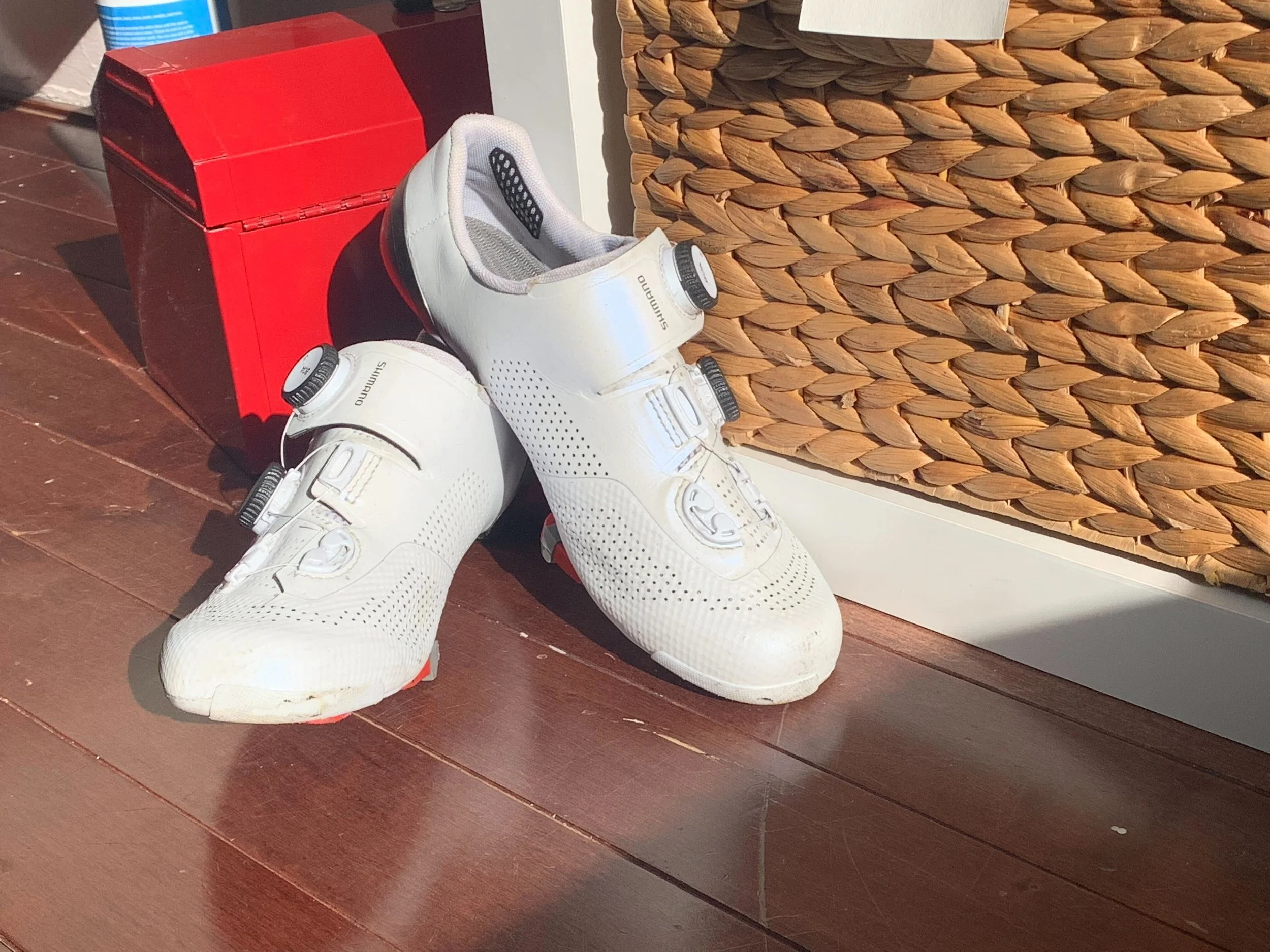 White 2025 spin shoes